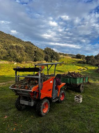 dumper mz imer con retro bobcat