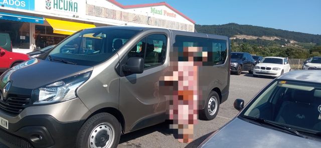 Renault Trafic combi 9