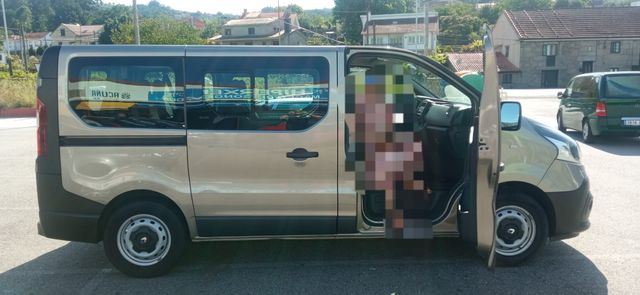 Renault Trafic combi 9