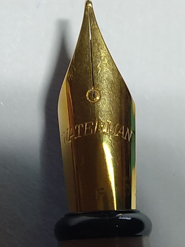 Penna stilografica Waterman