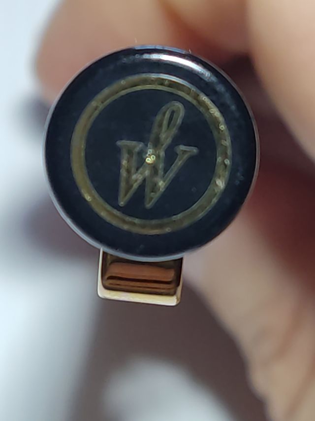 Penna stilografica Waterman