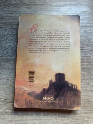 "El capitán Miguel y el misterio..."