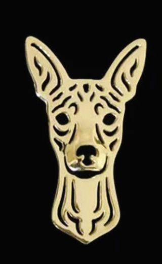 Broches de perro Pincher