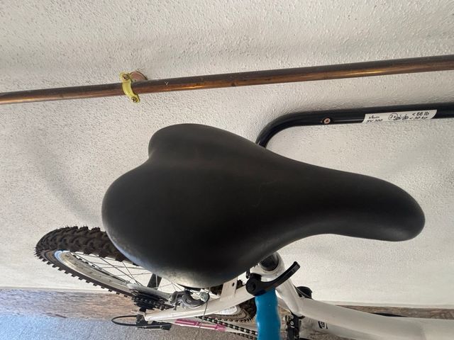 Bicicleta Infantil Montaña Y Paseo 20" peques