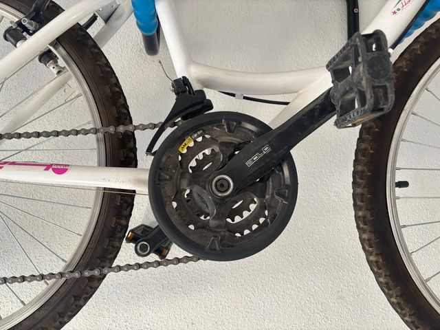 Bicicleta Infantil Montaña Y Paseo 20" peques