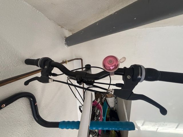 Bicicleta Infantil Montaña Y Paseo 20" peques