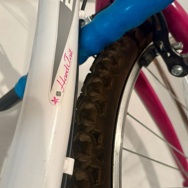 Bicicleta Infantil Montaña Y Paseo 20" peques