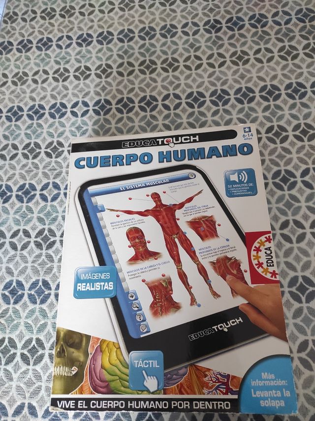 Corpo umano Educatouch