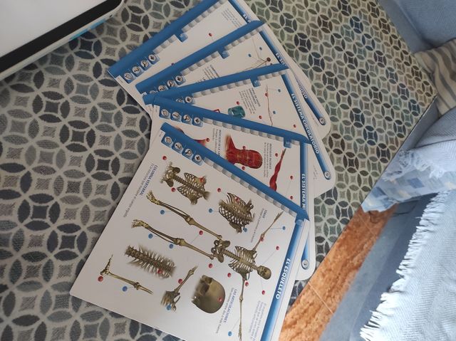 Corpo umano Educatouch