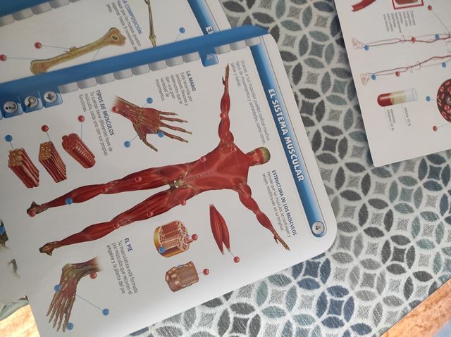 Corpo umano Educatouch