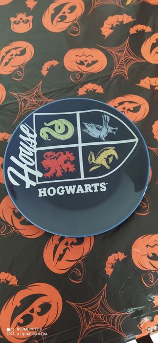 Piatto Hogwarts