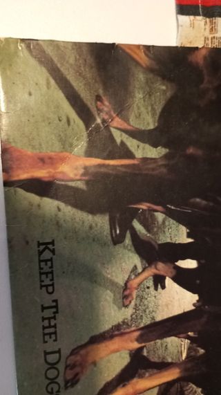 Thor Keep the dogs away