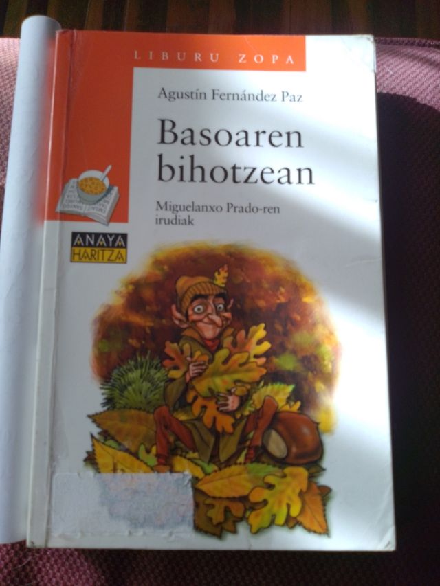 Basoaren bihotzean (Cuentos, Mitos Y Libros-regalo) (Basque Edition)