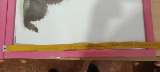 Conjunto cuadros dormitorio niña