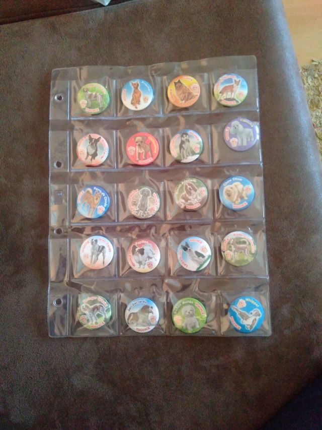 Imanes yogoyce perros