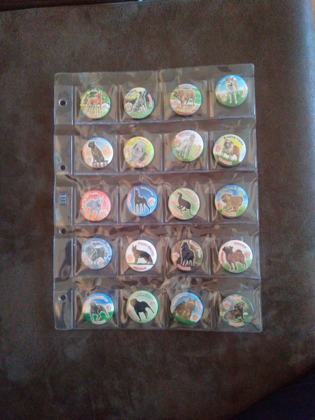 Imanes yogoyce perros