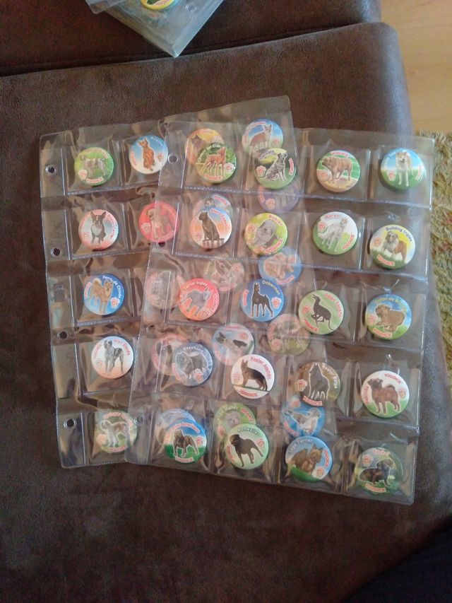 Imanes yogoyce perros