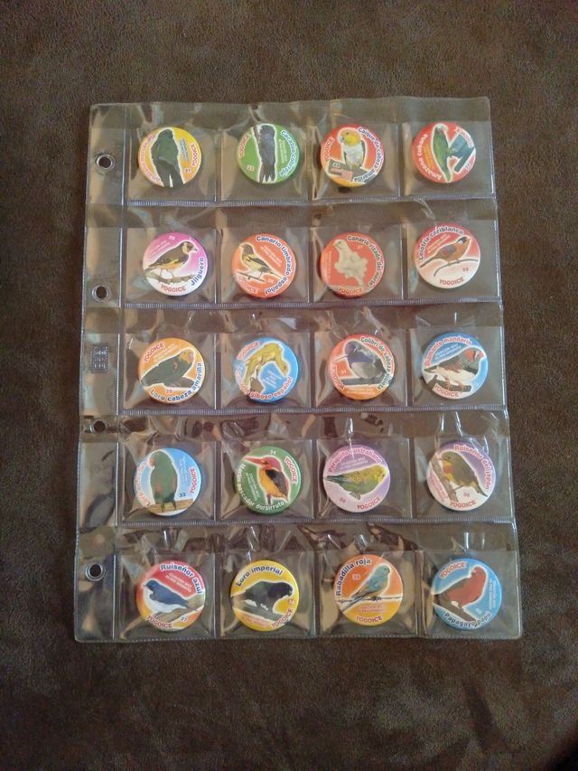 Imanes yogoyce pájaros 