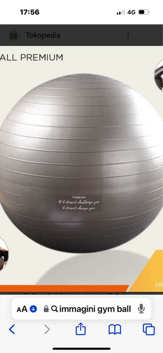 Gym ball