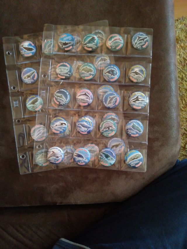 Imanes yogoyce cetáceos 