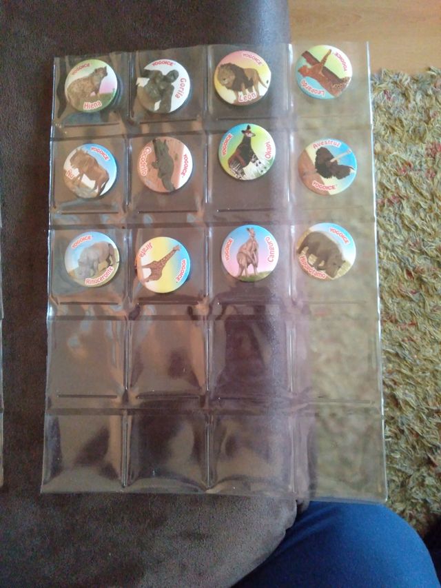 Imanes yogoyce animales 