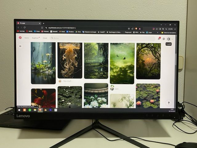 Lenovo L24i-10 23.8" FHD