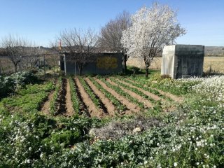 Parcela rustica no urbanizable con agua riego