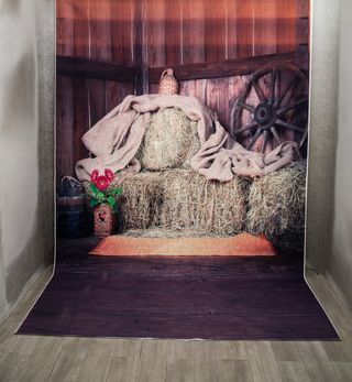 PORTAFONDOS ELÉCTRICO Y FONDOS PARA FOTOS