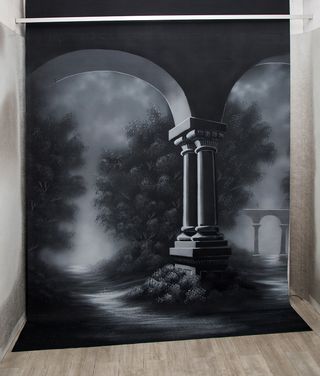 PORTAFONDOS ELÉCTRICO Y FONDOS PARA FOTOS