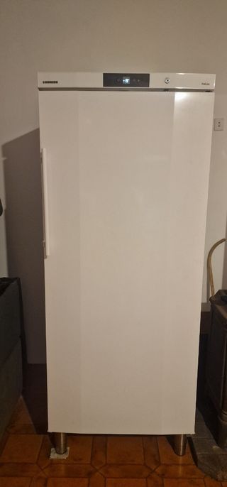 Congelador profesional Liebherr Profiline