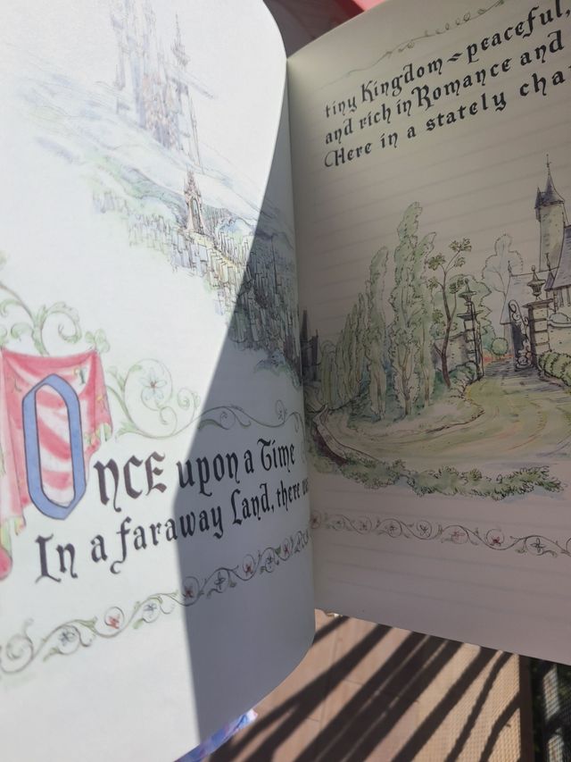 Notebook Cenerentola disney