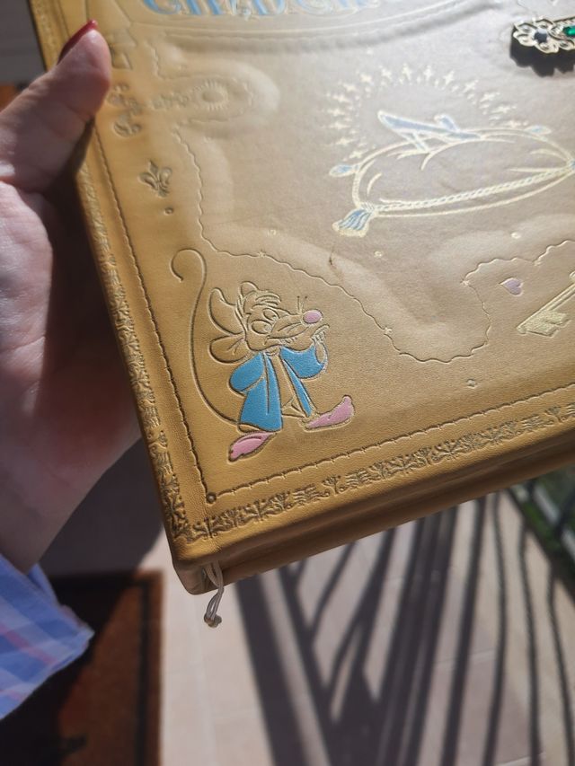 Notebook Cenerentola disney