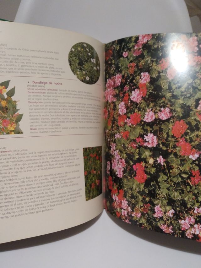 El gran libro de jardinería