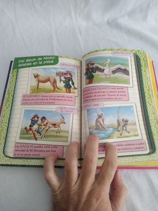 Libro Cinco amigas y un leon Tea Stilton