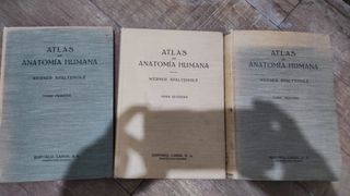 Atlas anatomía humana Werner Spalteholz