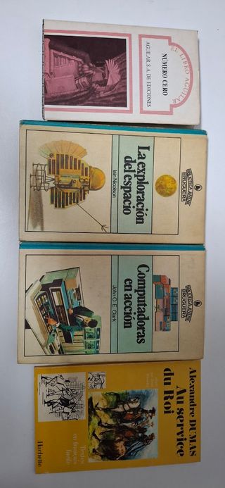 Lote 52 libros temas variados