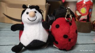 Porta chiavi con coccinella 🐞 porta