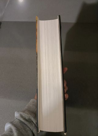 Leonardo da Vinci Flights of the Mind