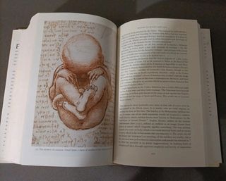 Leonardo da Vinci Flights of the Mind