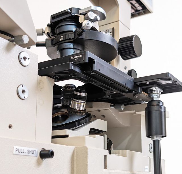 Olympus IMT-2 Microscopio DIC Nomarski Invertido