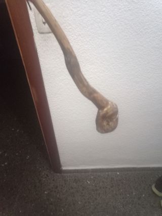 Bara bastón cachaba