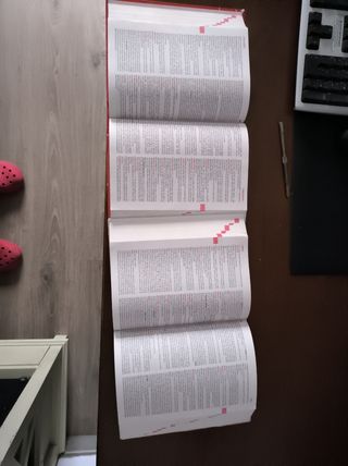 Diccionario Anaya Lengua Española 