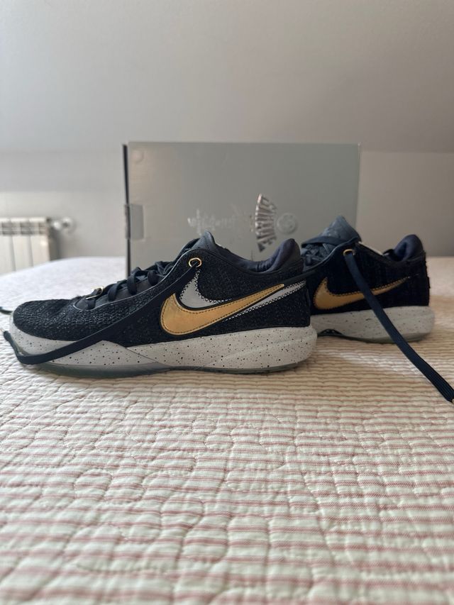 Zapatillas lebron XX