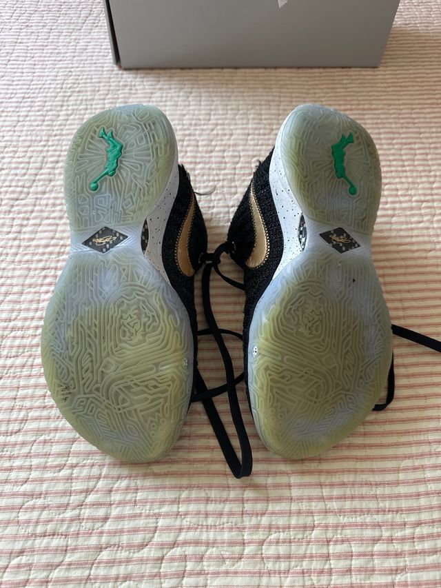 Zapatillas lebron XX