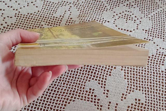 "L'età medievale nella critica storica"C. Bonanno