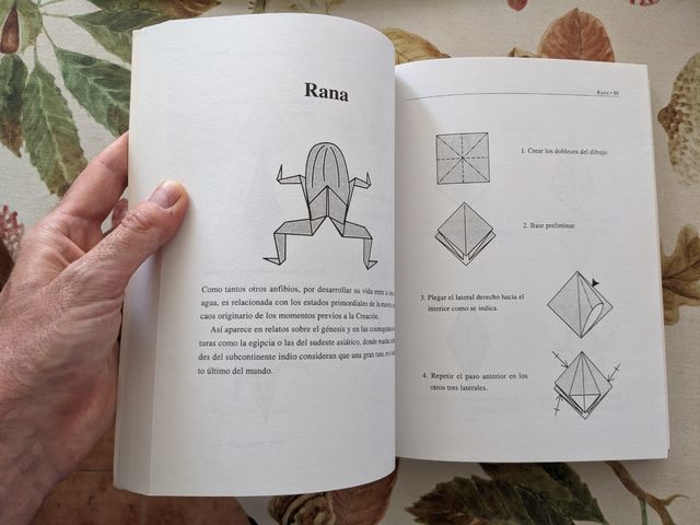 Origami y papiroflexia/ Origami and Paperfolding (Spanish Edition)