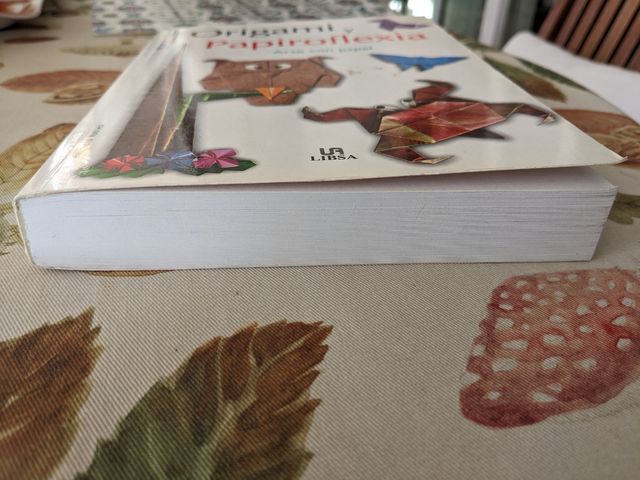 Origami y papiroflexia/ Origami and Paperfolding (Spanish Edition)