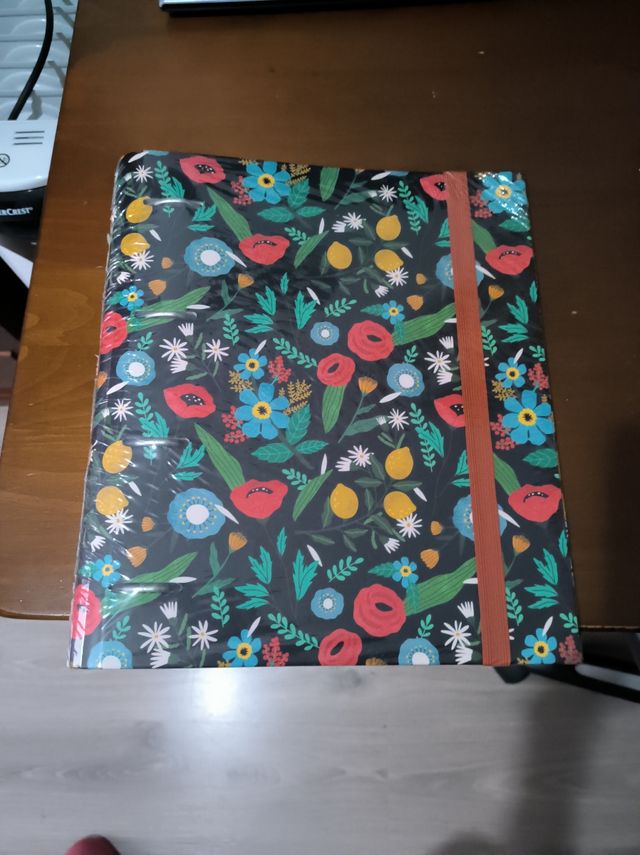 Carpeta colegio/instituto 