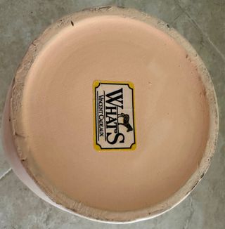 Vaso ceramica what's Vincent cadeaux 