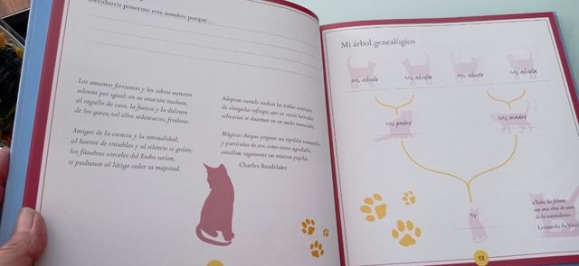 ALBUM DE MI GATO.(RECUERDOS DE MI MASCOTA)